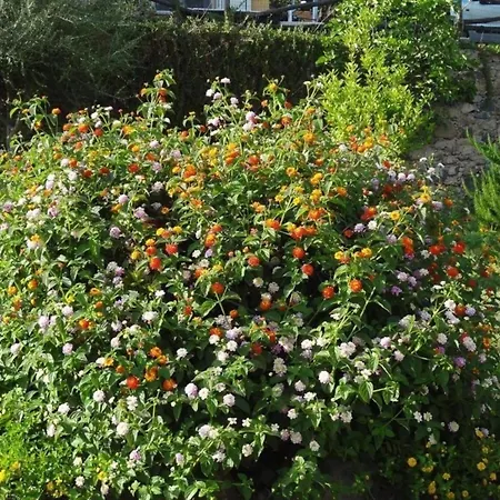 Charmante In Mit Terrasse, Garten Und Gemeinschaftlichem Pool Und Meerblick Badesi